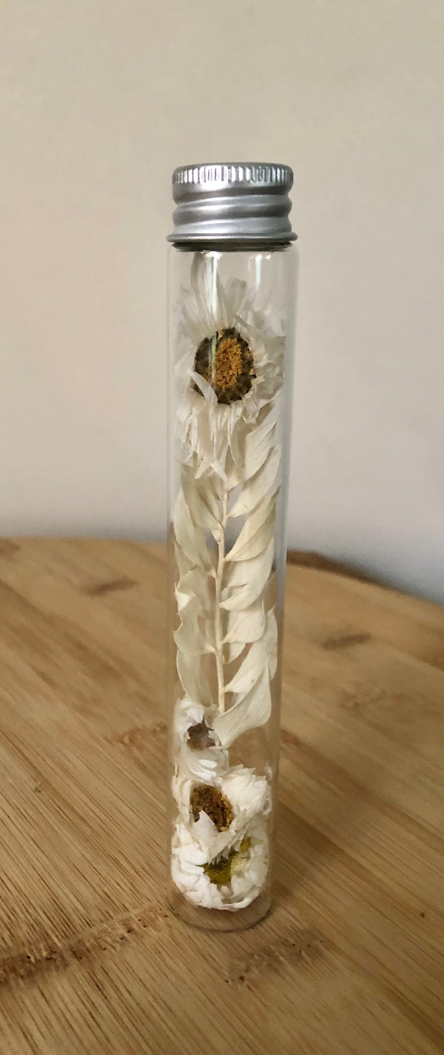 Petal Tube ~ Daisy