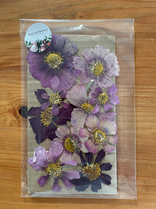 Pressed Flower Pack mixed mauve/purples