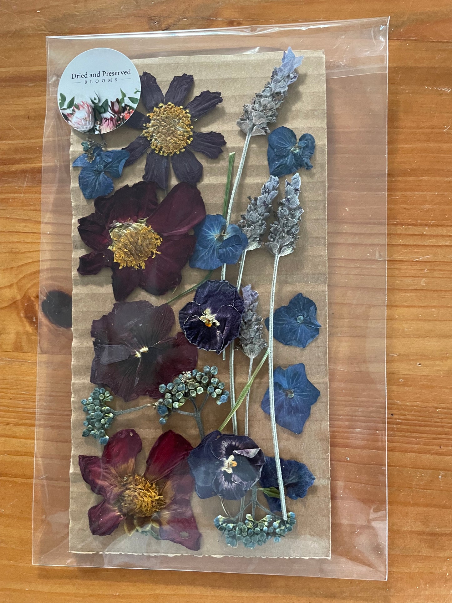 Pressed Flower pack Burgundy/Blue