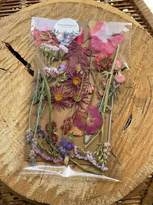Pressed Flower Pack Deep pink mix