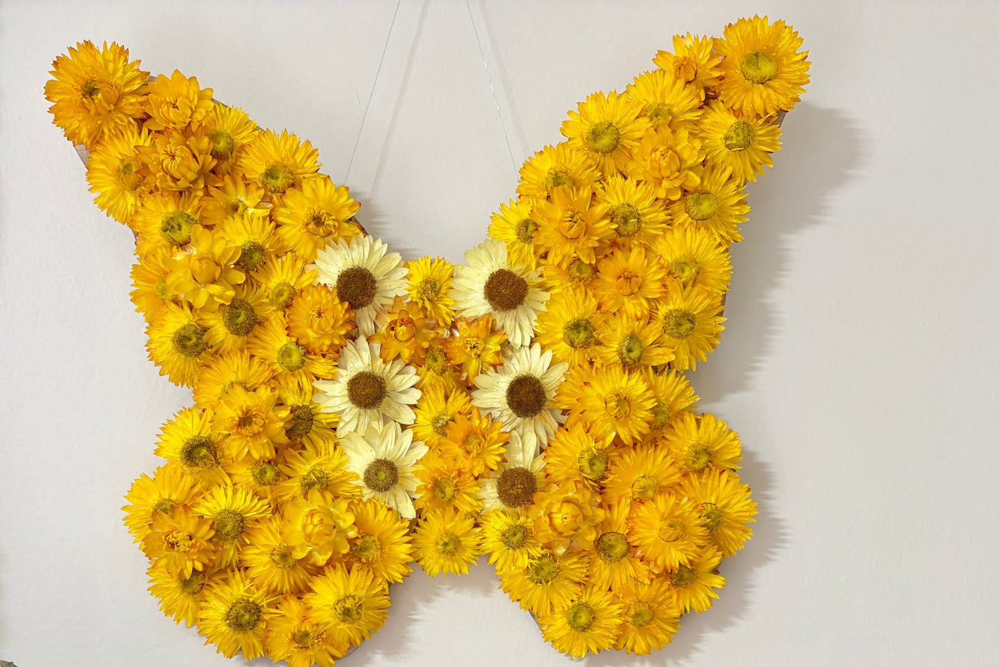 Butterfly Wall Art ~ Yellow