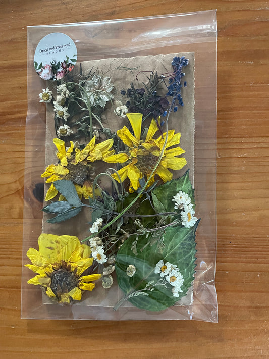 Pressed Flower Pack Mixed with Dahlia