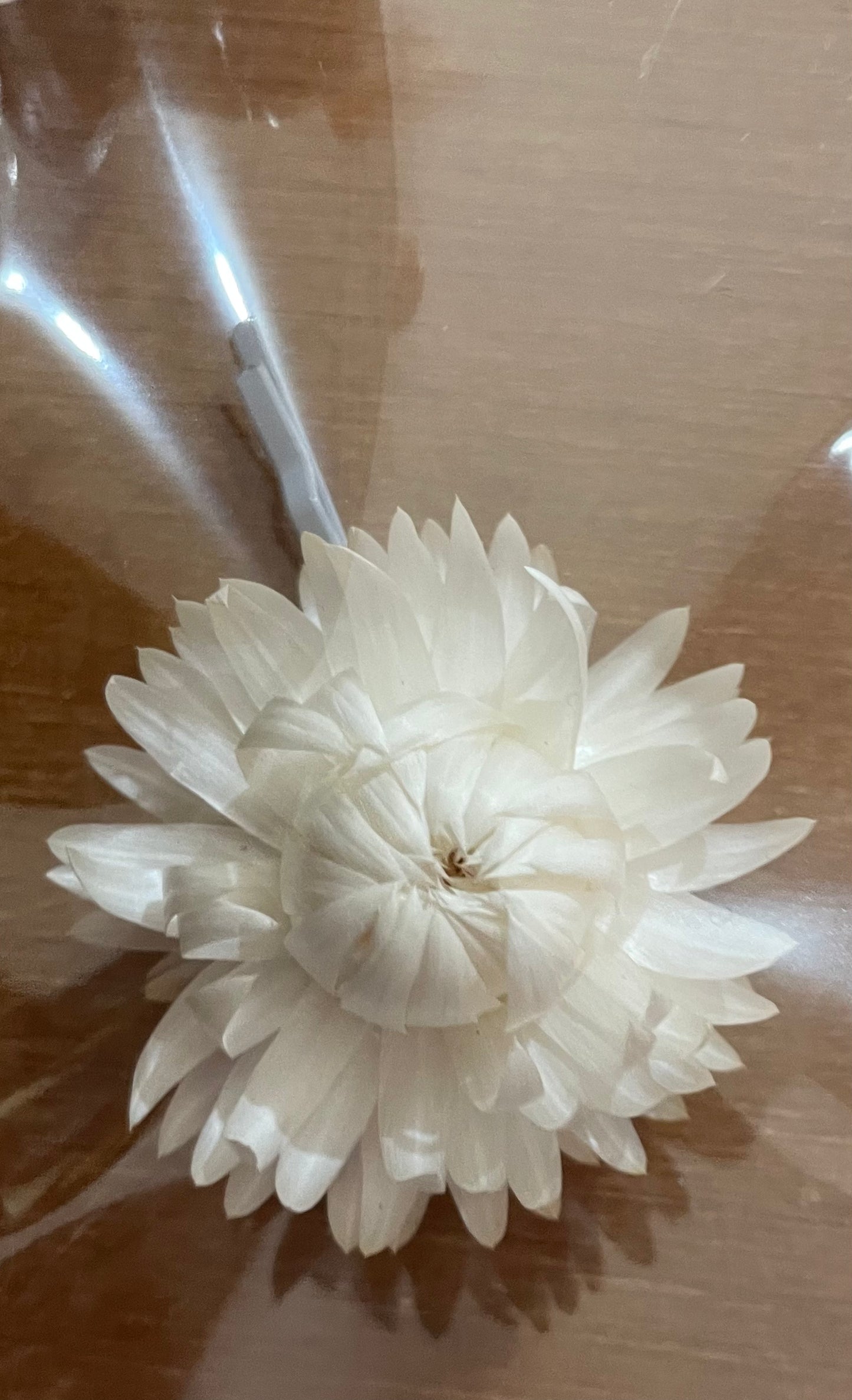 Hair Pin ~ cream strawflower