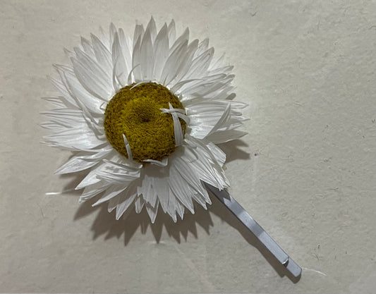 Hair pin ~ Daisy