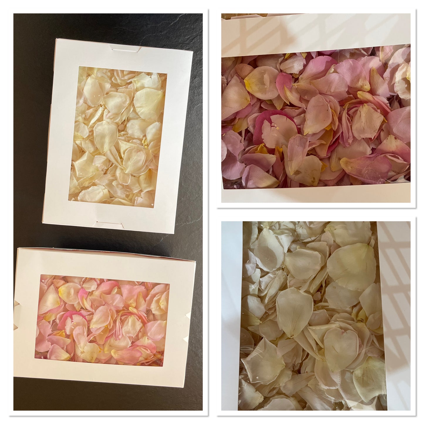 Confetti~Freeze Dried Rose Petal - soft pinks