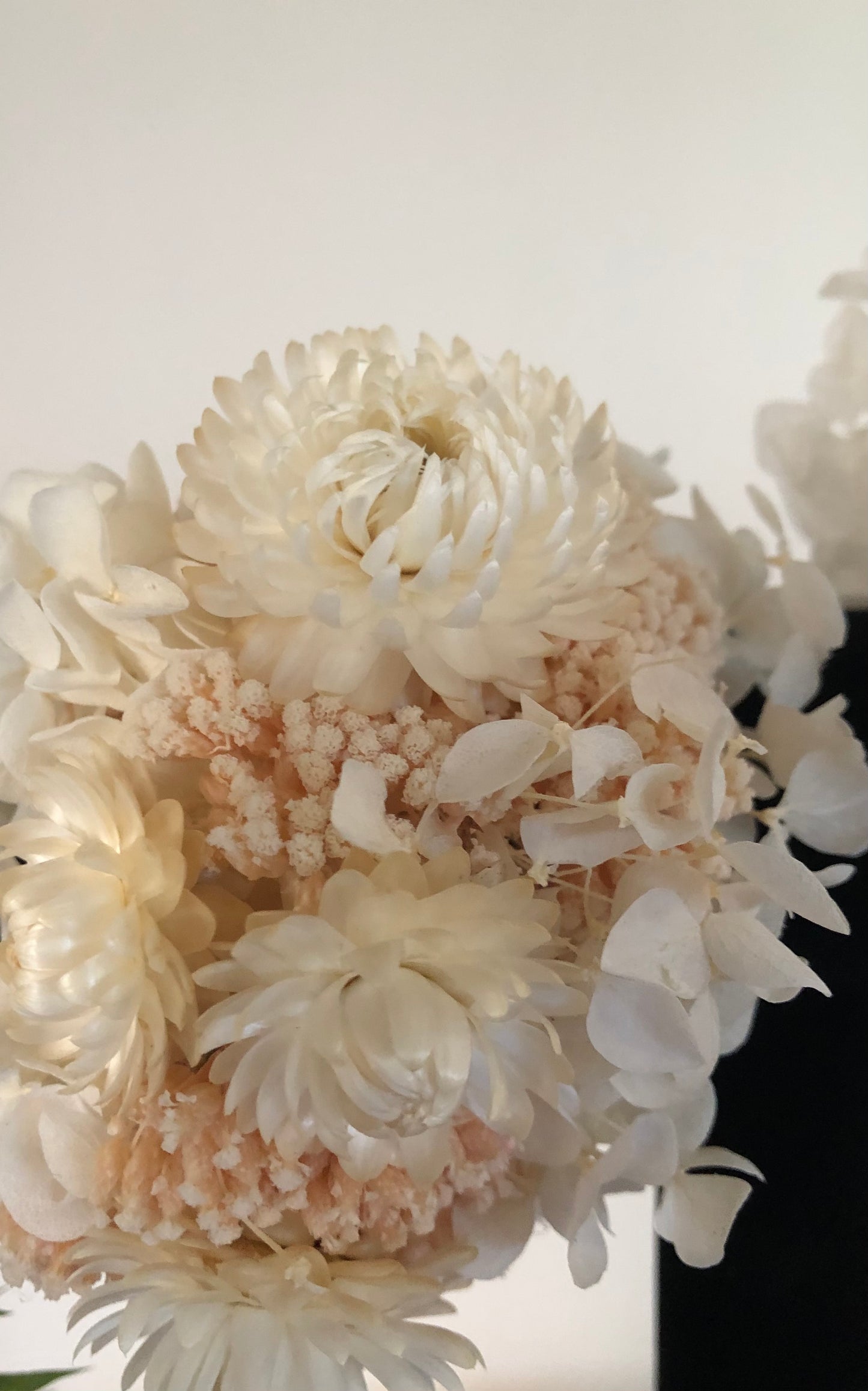 Wrist Corsage White strawflowers