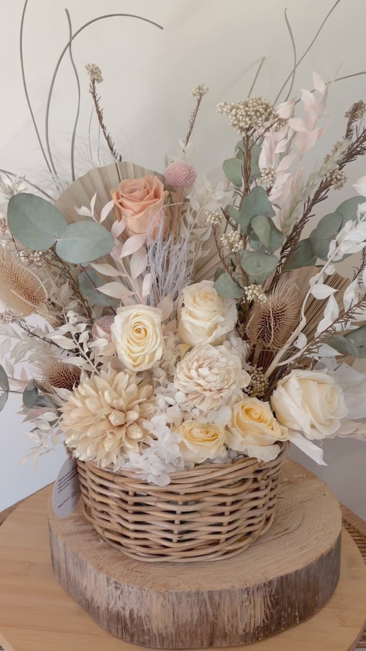 Champagne Bloom